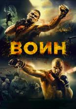 Warrior (2015)