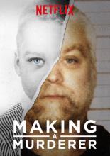 Making a Murderer (2015)