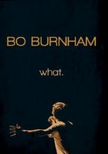 Bo Burnham: What. (2013)
