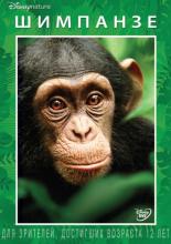 Chimpanzee (2012)