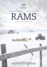 Rams (2015)