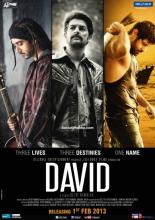 David (2013)