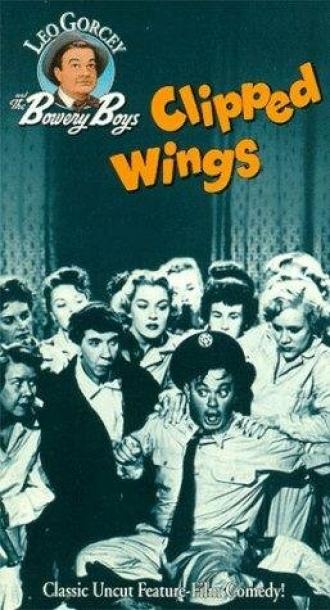 Clipped Wings (movie 1953)