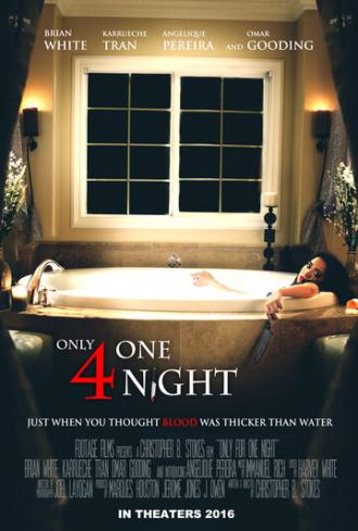 Only For One Night (movie 2016)