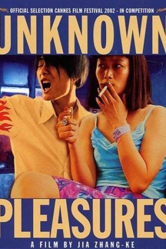 Unknown Pleasures (movie 2002)