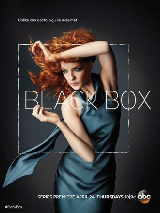 Black Box (tv-series 2014)