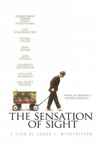 The Sensation of Sight (movie 2006)