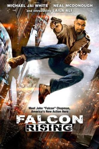 Falcon Rising (movie 2014)