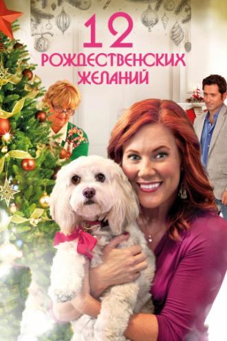 12 Wishes of Christmas (movie 2011)