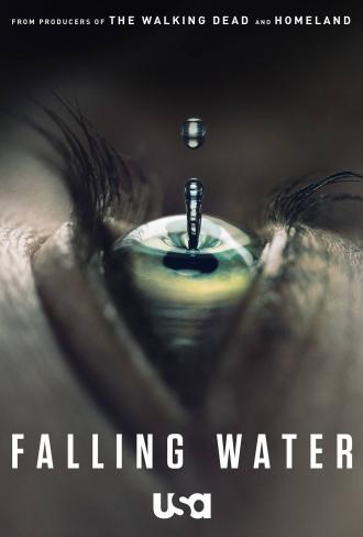 Falling Water (movie 2016)