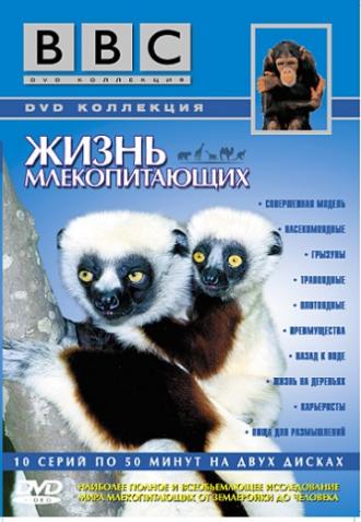 The Life of Mammals (movie 2002)