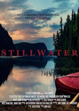 Stillwater (movie 2018)