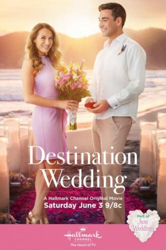 Destination Wedding (movie 2017)