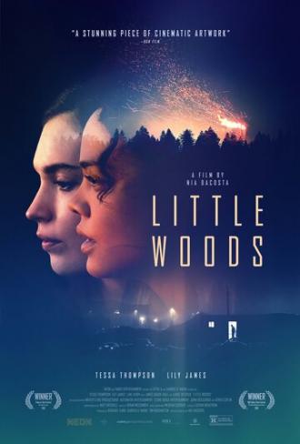 Little Woods (movie 2019)
