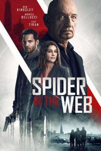 Spider in the Web (movie 2019)