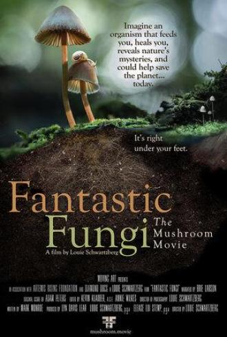 Fantastic Fungi (movie 2019)