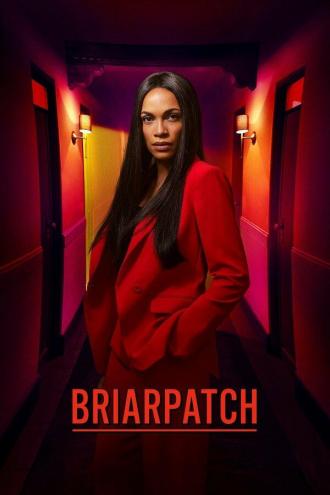 Briarpatch (tv-series 2020)