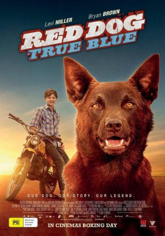 Red Dog: True Blue (movie 2016)