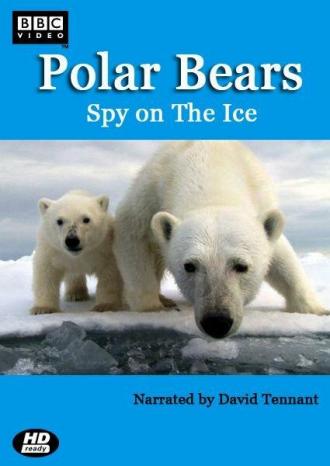 Polar Bear: Spy on the Ice (movie 2011)