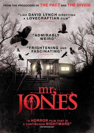 Mr. Jones (movie 2013)
