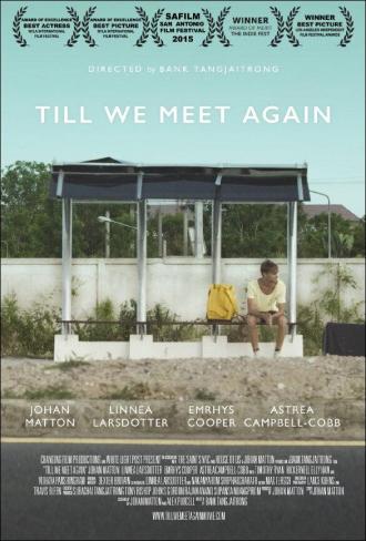 Till We Meet Again (movie 2016)