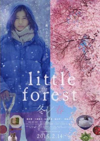 Little Forest: Winter/Spring (movie 2015)