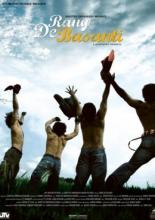 Rang De Basanti (2006)