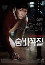 Hide and Seek (2013)