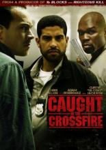 Caught in the Crossfire (2010)