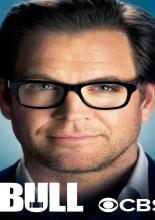 Bull (2016)