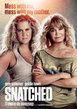 Snatched (2017)
