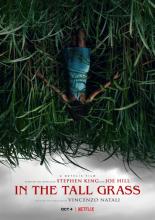 In the Tall Grass (2019)