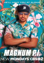 Magnum P.I. (2018)