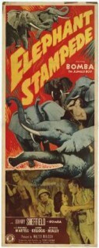 Elephant Stampede (movie 1951)