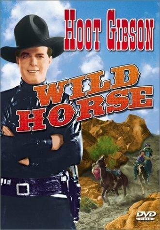 Wild Horse (movie 1931)