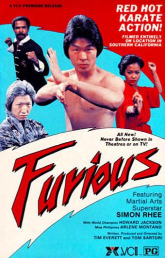 Furious (movie 1984)
