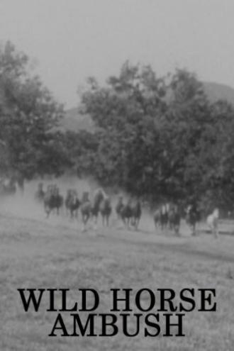 Wild Horse Ambush (movie 1952)