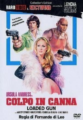 Loaded Guns (movie 1975)
