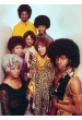 Sly and the Family Stone (в титрах: Sly & the Family Stone)