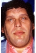 André the Giant (в титрах: Andre the Giant)