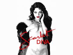 Movies about sexy women