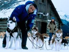 Husky Movies