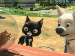 Children's movies about animals
