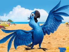 American films about poachers