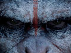 Gorilla movies