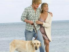 Family movies about divorce