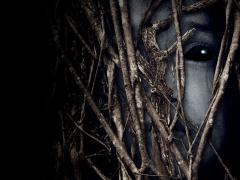 Films about the struggle for survival