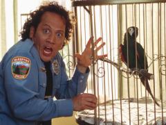 Movies about people and animals