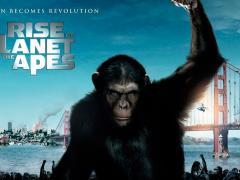 Films about epidemics