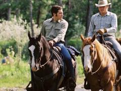 Canadian Wedding Movies